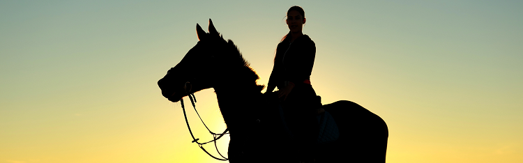 silhouette of person on horse